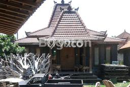 Jarang Ada! Rumah Kontrakan 3 Kamar Nyaman Siap Huni Kerobokan Jarang Ada! Rumah Kontrakan 3 Kamar Nyaman Siap Huni Kerobokan