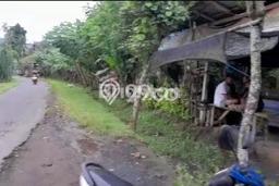 Tanah di Manggis, Karangasem Luas 7200m2 Dijual Segera Tanah di Manggis, Karangasem Luas 7200m2 Dijual Segera