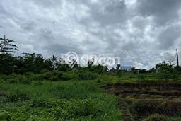 Lahan Dijual Lokasi Strategis di Tabanan dengan Luas 1940m2 Lahan Dijual Lokasi Strategis di Tabanan dengan Luas 1940m2