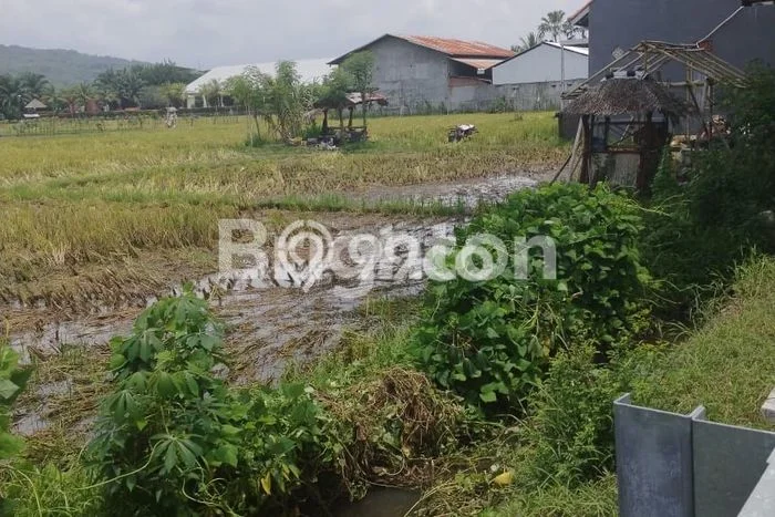 Tanah Kavling Dijual di Buleleng dengan Spesifikasi 2930m2 Tanah Kavling Dijual di Buleleng dengan Spesifikasi 2930m2