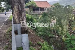 Tanah Kavling Dijual di Buleleng dengan Spesifikasi 2930m2 Tanah Kavling Dijual di Buleleng dengan Spesifikasi 2930m2