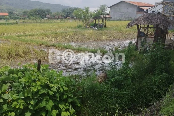 Tanah Kavling Dijual di Buleleng dengan Spesifikasi 2930m2 Tanah Kavling Dijual di Buleleng dengan Spesifikasi 2930m2