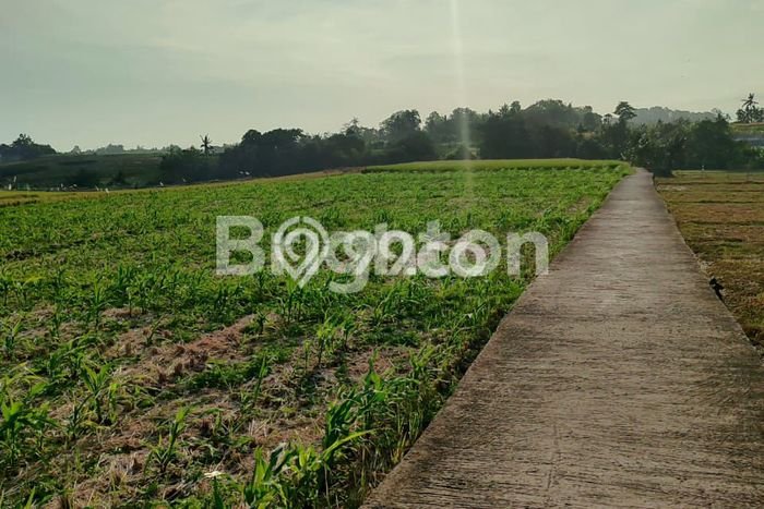 Untuk Dijual Tanah 3050m2 di Kelating, Tabanan Untuk Dijual Tanah 3050m2 di Kelating, Tabanan