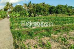 Untuk Dijual Tanah 3050m2 di Kelating, Tabanan Untuk Dijual Tanah 3050m2 di Kelating, Tabanan