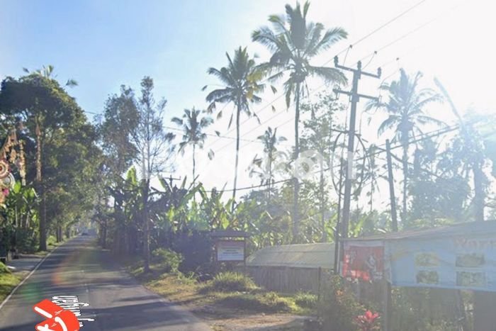 Kavling Tanah Dijual di Payangan Gianyar Spesifikasi 1300m2 Kavling Tanah Dijual di Payangan Gianyar Spesifikasi 1300m2