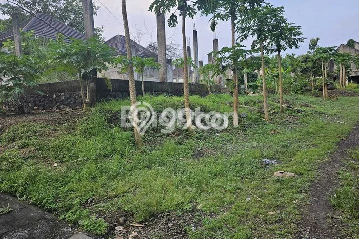 Tanah Kosong Dijual di Tabanan dengan Area 202m2 Tanah Kosong Dijual di Tabanan dengan Area 202m2