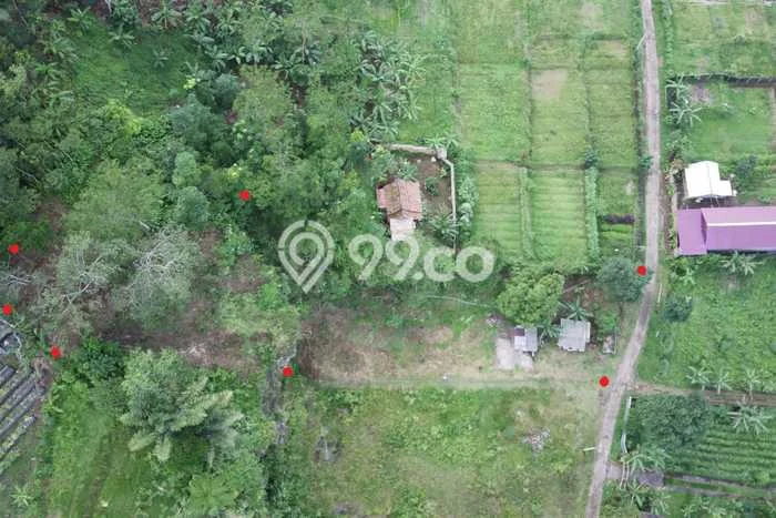Lahan Dijual Lokasi Baturiti, Tabanan dengan Luas Tanah 1560m2 dan Status SHM Lahan Dijual Lokasi Baturiti, Tabanan dengan Luas Tanah 1560m2 dan Status SHM