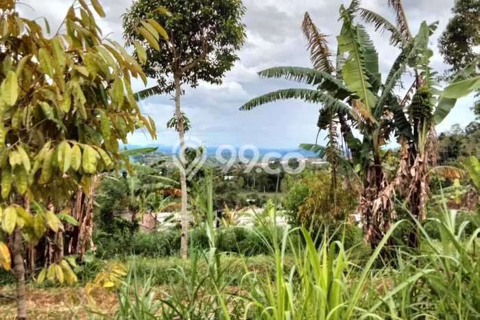 Lahan untuk Dijual di Baturiti Tabanan Luas 1650m2 Lahan untuk Dijual di Baturiti Tabanan Luas 1650m2