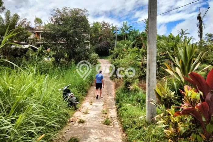 Lahan untuk Dijual di Baturiti Tabanan Luas 1650m2 Lahan untuk Dijual di Baturiti Tabanan Luas 1650m2
