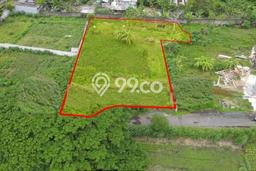 Tanah Dijual Lokasi Strategis di Denpasar dengan Luas 1600m2 Tanah Dijual Lokasi Strategis di Denpasar dengan Luas 1600m2