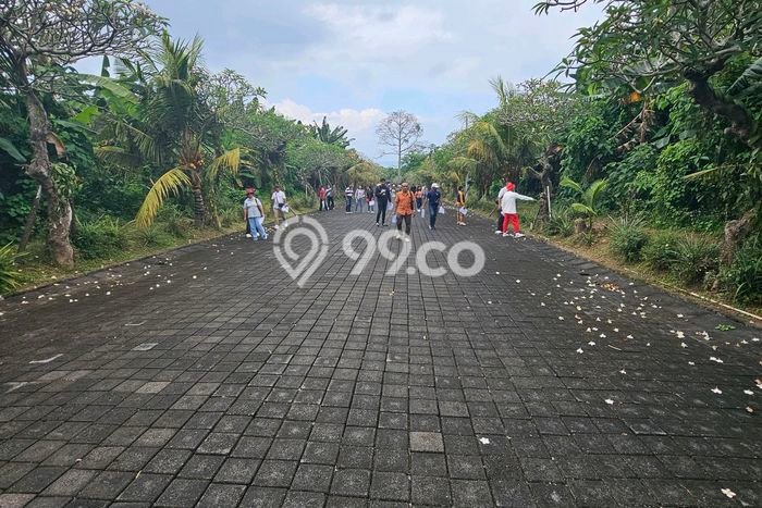 Dijual Tanah di Gianyar, Luas 100m2 SHM Dijual Tanah di Gianyar, Luas 100m2 SHM