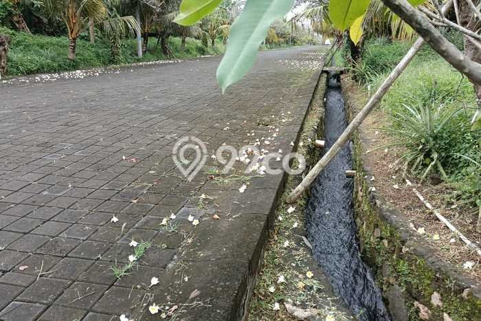 Tanah Kavling Dijual di Gianyar dengan Spesifikasi 100m2 Tanah Kavling Dijual di Gianyar dengan Spesifikasi 100m2