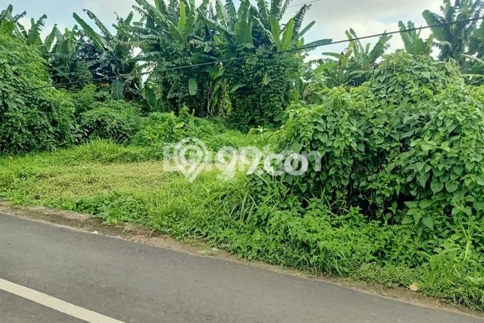 Tanah Dijual Lokasi Strategis di Tabanan dengan Luas 2000m2 Tanah Dijual Lokasi Strategis di Tabanan dengan Luas 2000m2