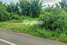 Tanah Kavling Dijual di Tabanan dengan Spesifikasi 2000m2 Tanah Kavling Dijual di Tabanan dengan Spesifikasi 2000m2