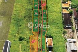 Tanah Kavling Disewakan di Mas dengan Luas 100m2 Tanah Kavling Disewakan di Mas dengan Luas 100m2