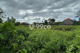 Lahan Dijual Lokasi Strategis di Badung dengan Luas 100m2 Lahan Dijual Lokasi Strategis di Badung dengan Luas 100m2