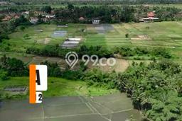 Tanah Kavling Dijual di Singapadu Kaler, Gianyar dengan Luas Tanah 196m2 Tanah Kavling Dijual di Singapadu Kaler, Gianyar dengan Luas Tanah 196m2