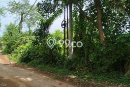 Tanah Dijual Area Strategis di Keramas Gianyar 1426m2 Tanah Dijual Area Strategis di Keramas Gianyar 1426m2