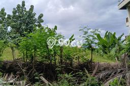 Kavling Tanah Dijual di Kuta Selatan Badung Spesifikasi 800m2 Kavling Tanah Dijual di Kuta Selatan Badung Spesifikasi 800m2
