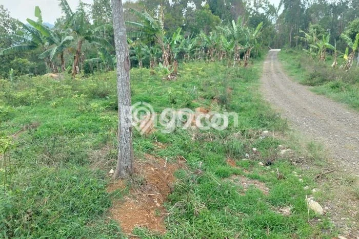 HARGA TERBAIK! Tanah di Soreang, Luas 927m2m², Lokasi Prima HARGA TERBAIK! Tanah di Soreang, Luas 927m2m², Lokasi Prima