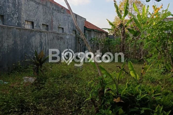Tanah Investasi Dijual di Ciamis Punya Luas 548m2 Tanah Investasi Dijual di Ciamis Punya Luas 548m2