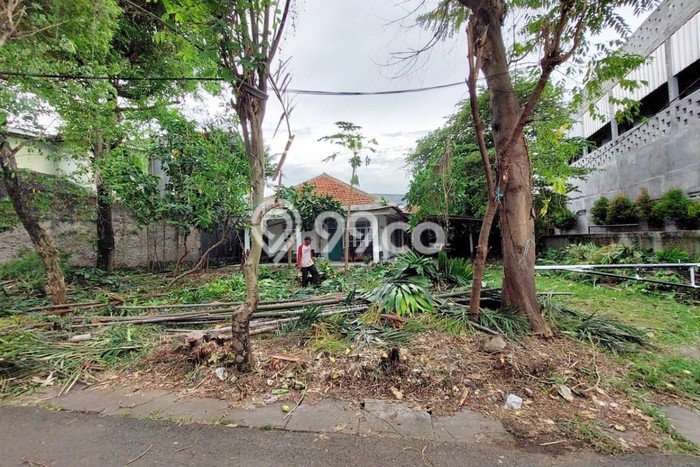 Jarang Ada! Tanah di Bintaro Punya Luas 649m2 SHM Jarang Ada! Tanah di Bintaro Punya Luas 649m2 SHM