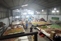Area Ramai! Pabrik Dijual di Ambarawa untuk Bisnis Luas Bangunan 1000m2 Area Ramai! Pabrik Dijual di Ambarawa untuk Bisnis Luas Bangunan 1000m2