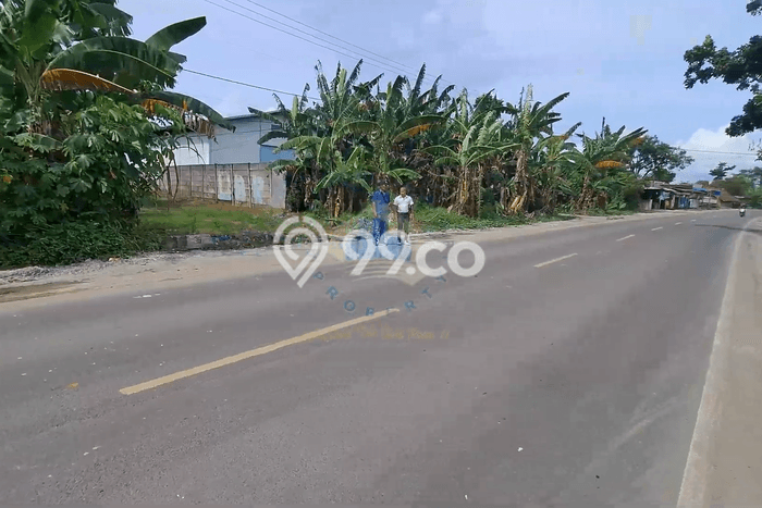 Kavling Tanah Dijual di Jawilan, Serang, Luas 53000m2 Area Strategis Kavling Tanah Dijual di Jawilan, Serang, Luas 53000m2 Area Strategis