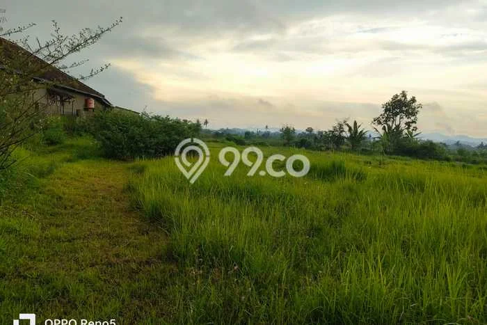 Lahan Strategis di Temanggung Dijual dengan Luas 3740m2 Lahan Strategis di Temanggung Dijual dengan Luas 3740m2