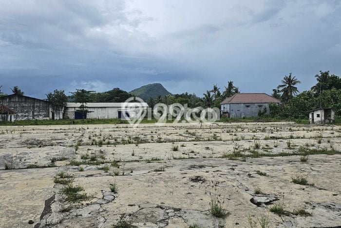 Unit Gudang Dijual di Wuluhan Jember Luas Tanah 21550m2, Luas Bangunan 21550m2 Unit Gudang Dijual di Wuluhan Jember Luas Tanah 21550m2, Luas Bangunan 21550m2