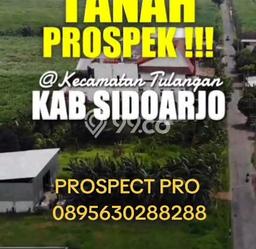 Dijual Tanah di Tulangan Sidoarjo Luas 1204m2 SHM Dijual Tanah di Tulangan Sidoarjo Luas 1204m2 SHM