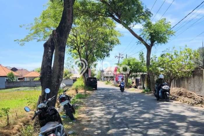 Tanah Kavling Disewakan di Seseh dengan Luas 4000m2 Tanah Kavling Disewakan di Seseh dengan Luas 4000m2