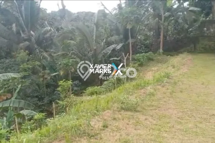 Untuk Dijual Tanah 4500m2 di Pupuansawah, Tabanan Untuk Dijual Tanah 4500m2 di Pupuansawah, Tabanan