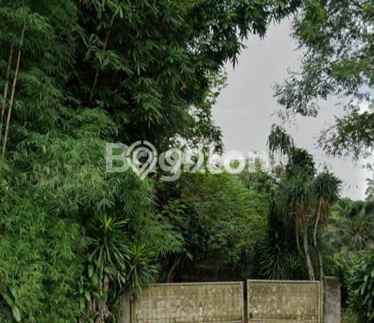 Dijual Tanah di Ranca Bungur Bogor Luas 20000m2 - Dijual Tanah di Ranca Bungur Bogor Luas 20000m2 -