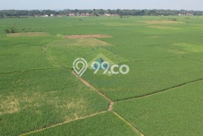 Kavling Tanah di Kopo Dijual Luas 240000m2 Legalitas SHM Kavling Tanah di Kopo Dijual Luas 240000m2 Legalitas SHM