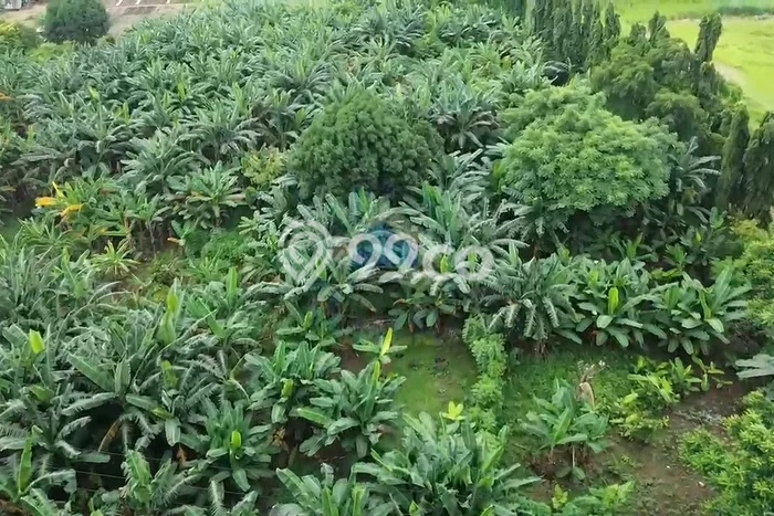 Tanah di Jati Uwung, Tangerang Luas 45640m2 Dijual Segera Tanah di Jati Uwung, Tangerang Luas 45640m2 Dijual Segera