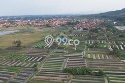 Untuk Dijual Tanah di Kramatwatu Serang Luas 320000m2 - Untuk Dijual Tanah di Kramatwatu Serang Luas 320000m2 -
