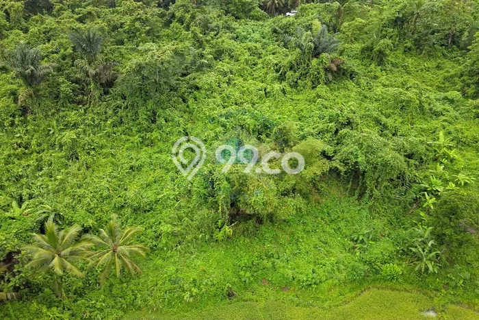 Dijual Tanah di Cileles Lebak Luas 21742m2 SHM Dijual Tanah di Cileles Lebak Luas 21742m2 SHM