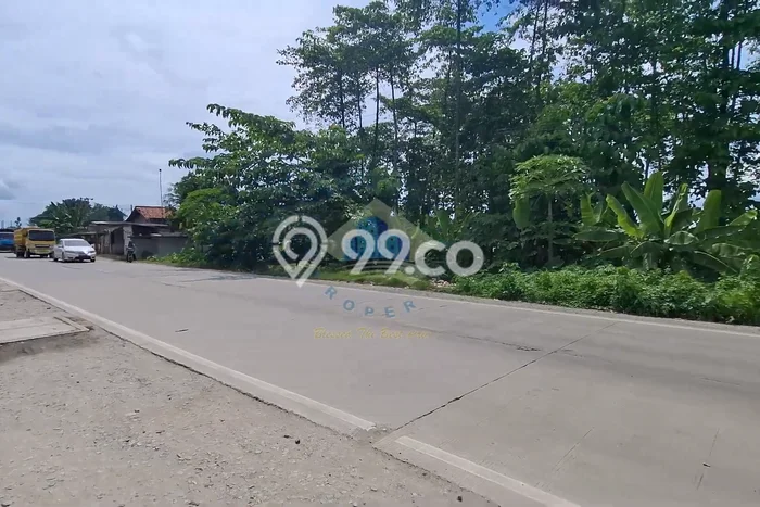 Tanah di Jawilan, Serang Luas 123000m2 Dijual Segera Tanah di Jawilan, Serang Luas 123000m2 Dijual Segera