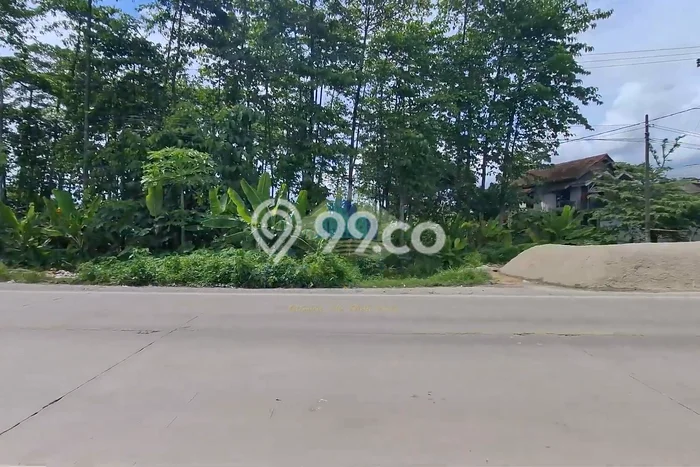 Tanah di Jawilan, Serang Luas 123000m2 Dijual Segera Tanah di Jawilan, Serang Luas 123000m2 Dijual Segera