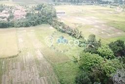 Kavling Tanah di Balaraja Dijual Luas 6000m2 Legalitas AJB Kavling Tanah di Balaraja Dijual Luas 6000m2 Legalitas AJB