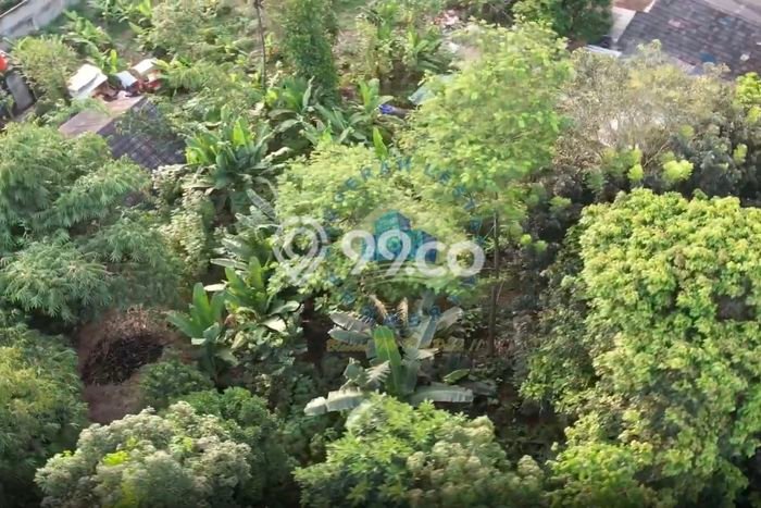 Kavling Tanah di Pagedangan Dijual Luas 2400m2 Legalitas SHM Kavling Tanah di Pagedangan Dijual Luas 2400m2 Legalitas SHM