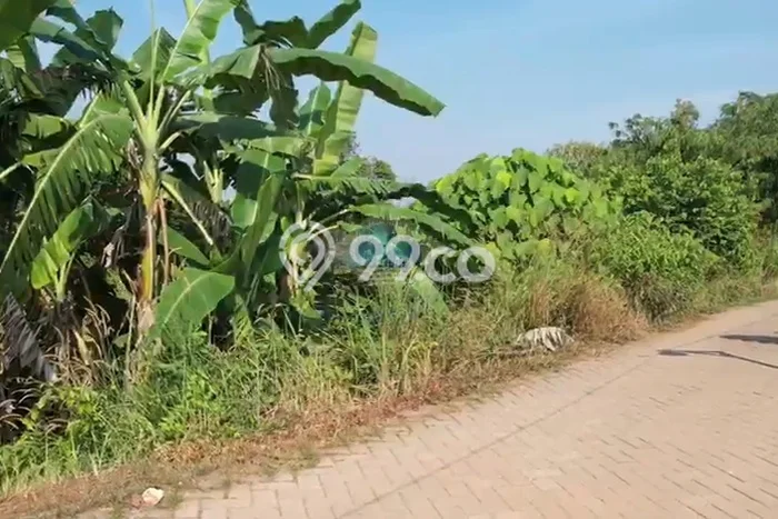 Tanah Dijual Lokasi Panongan, Tangerang Luas 30000m2 Legalitas Aman Tanah Dijual Lokasi Panongan, Tangerang Luas 30000m2 Legalitas Aman