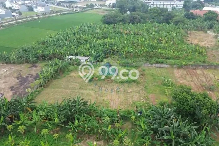 Tanah Strategis Disewakan di Panongan Tangerang Seluas 8000m2 Tanah Strategis Disewakan di Panongan Tangerang Seluas 8000m2