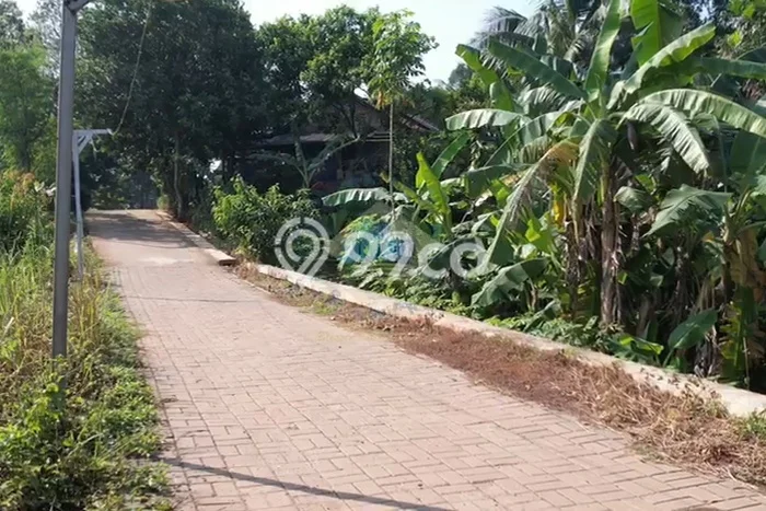 Tanah Dijual Lokasi Panongan, Tangerang Luas 30000m2 Legalitas Aman Tanah Dijual Lokasi Panongan, Tangerang Luas 30000m2 Legalitas Aman