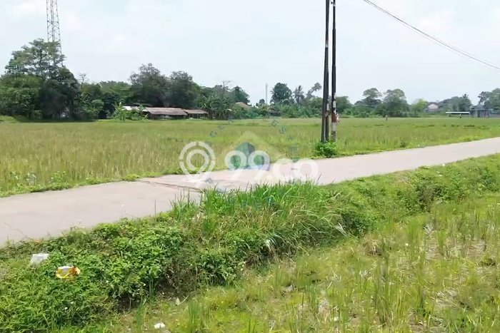 Tanah Kavling untuk Dijual di Tigaraksa Tangerang 3275m2 Tanah Kavling untuk Dijual di Tigaraksa Tangerang 3275m2