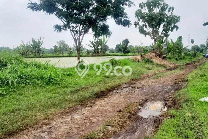 Kavling Tanah Dijual di Purwosari, Pasuruan, Luas 420000m2 Area Strategis Kavling Tanah Dijual di Purwosari, Pasuruan, Luas 420000m2 Area Strategis