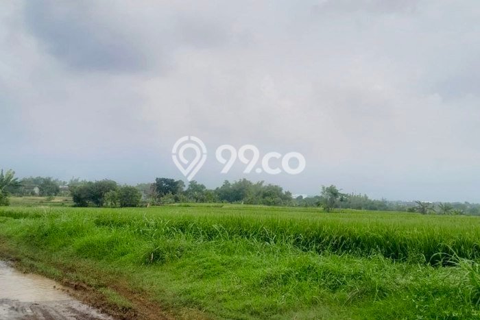 Kavling Tanah Dijual di Purwosari, Pasuruan, Luas 420000m2 Area Strategis Kavling Tanah Dijual di Purwosari, Pasuruan, Luas 420000m2 Area Strategis