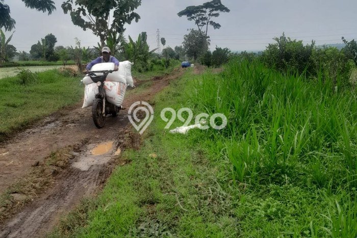 Kavling Tanah Dijual di Purwosari, Pasuruan, Luas 420000m2 Area Strategis Kavling Tanah Dijual di Purwosari, Pasuruan, Luas 420000m2 Area Strategis