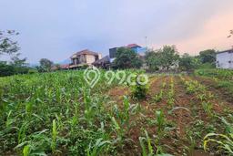 Tanah di Leuwisadeng, Luas 976m2m², Area Komersial Tanah di Leuwisadeng, Luas 976m2m², Area Komersial